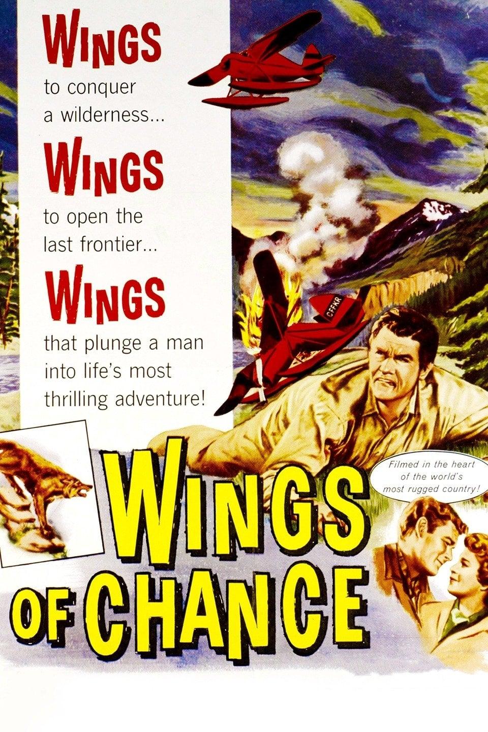 Wings of Chance poster