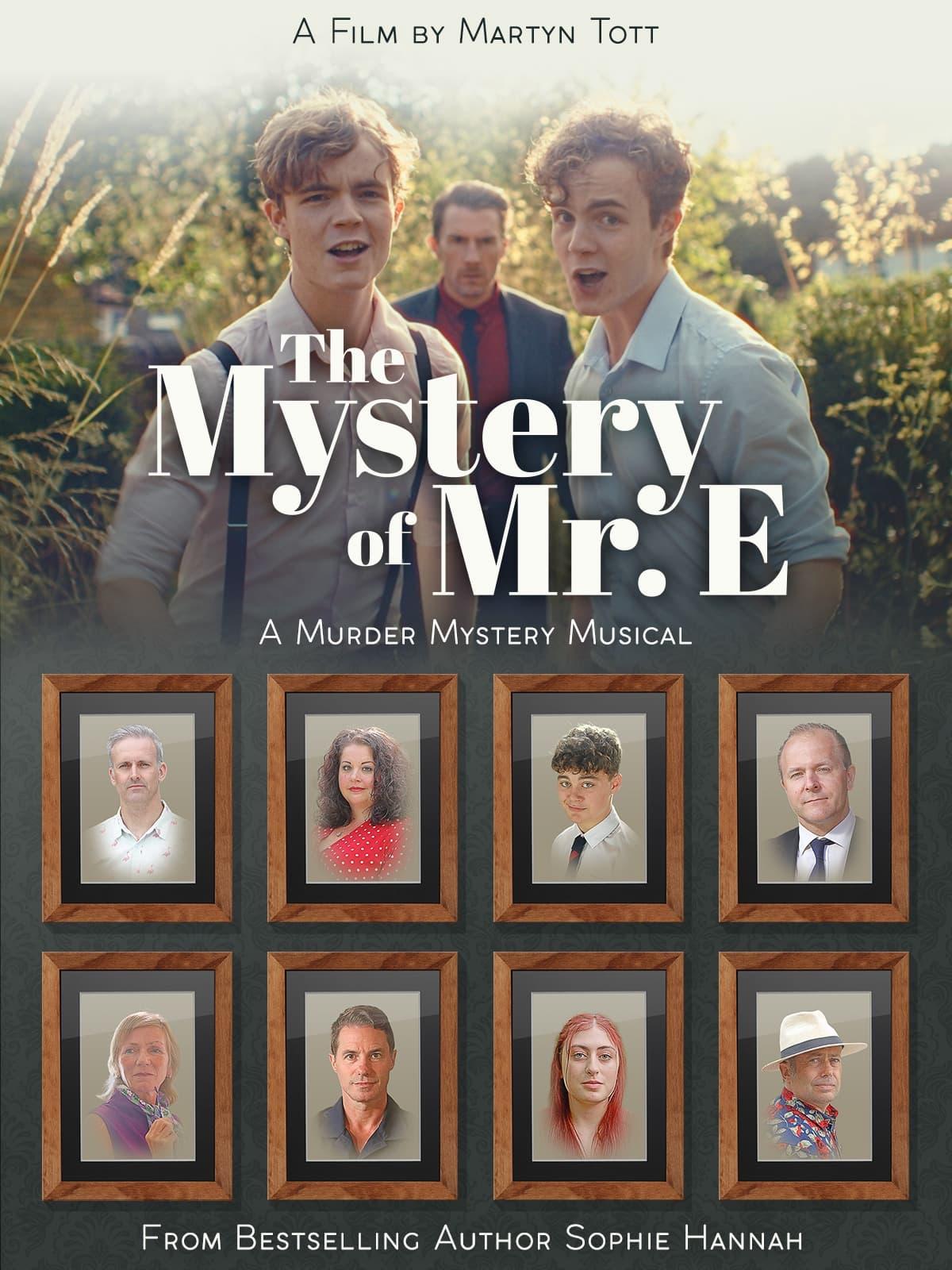 The Mystery of Mr. E poster