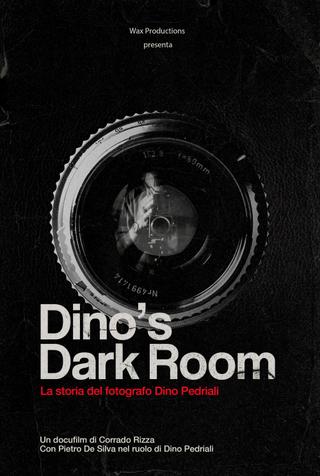 Dino's dark room poster