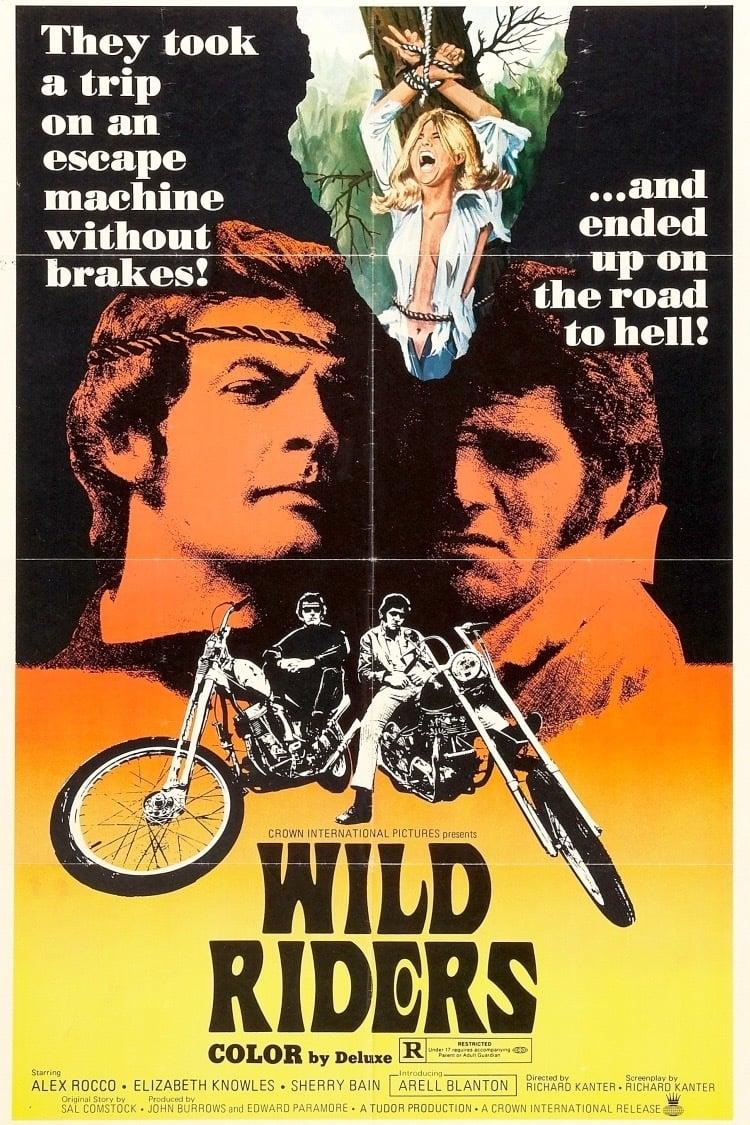 Wild Riders poster