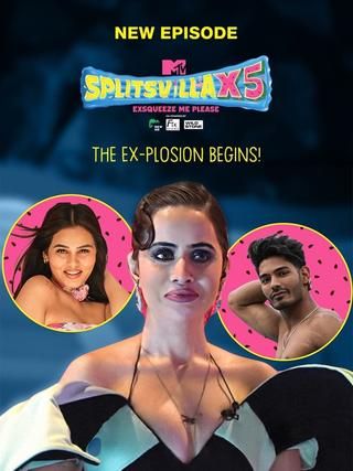 MTV Splitsvilla poster