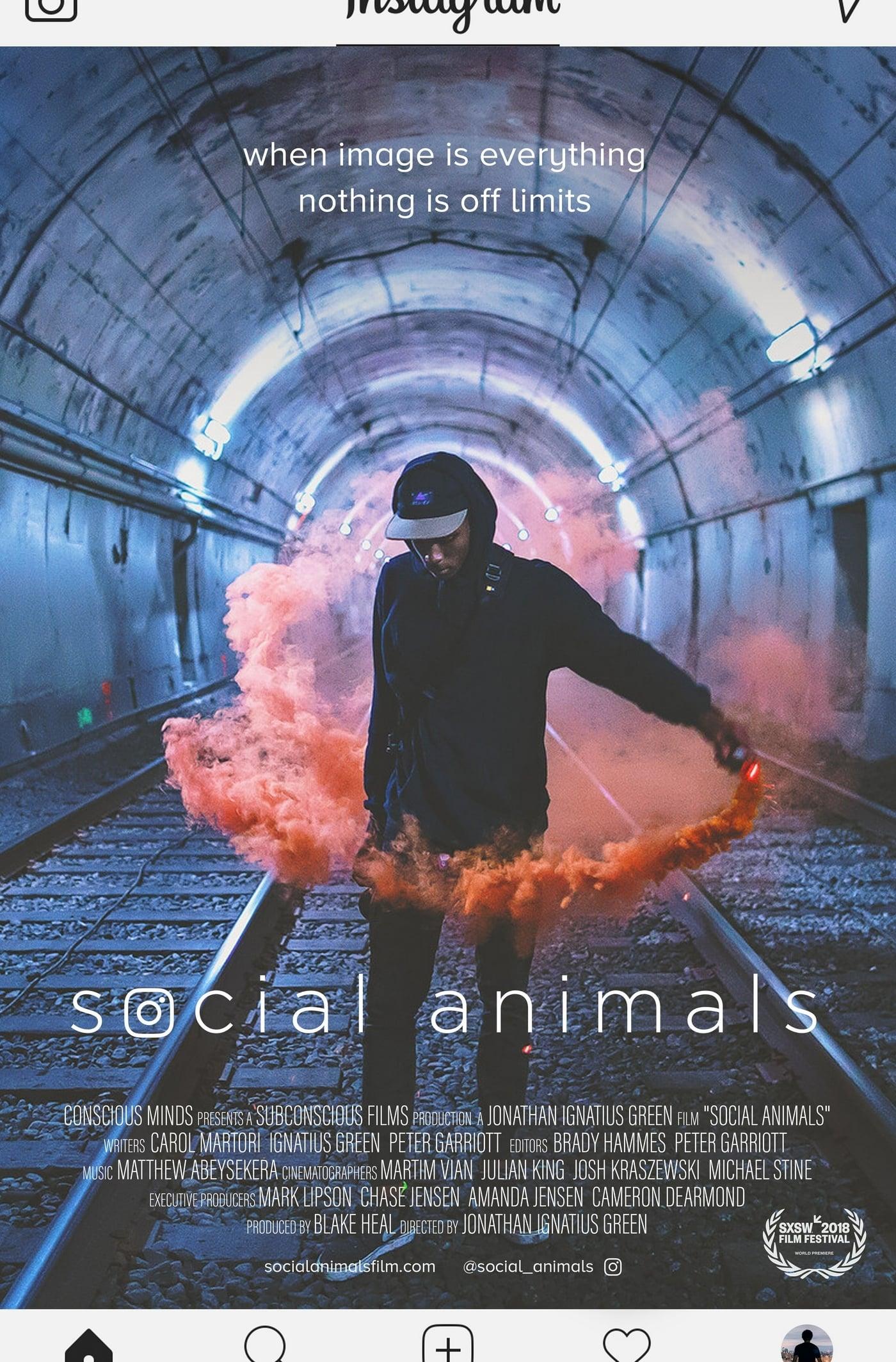 Social Animals poster