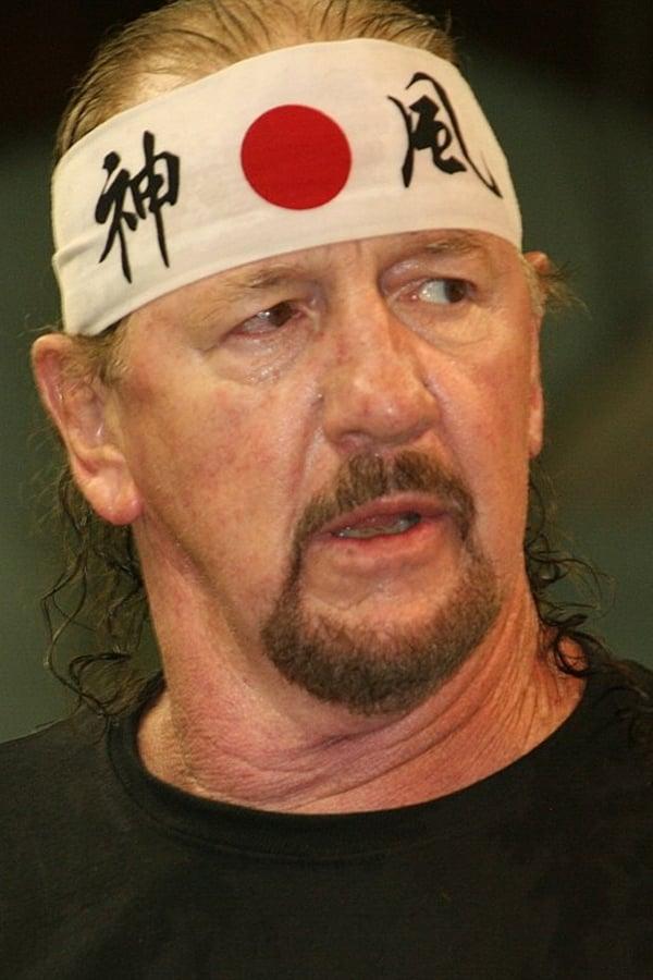 Terry Funk poster