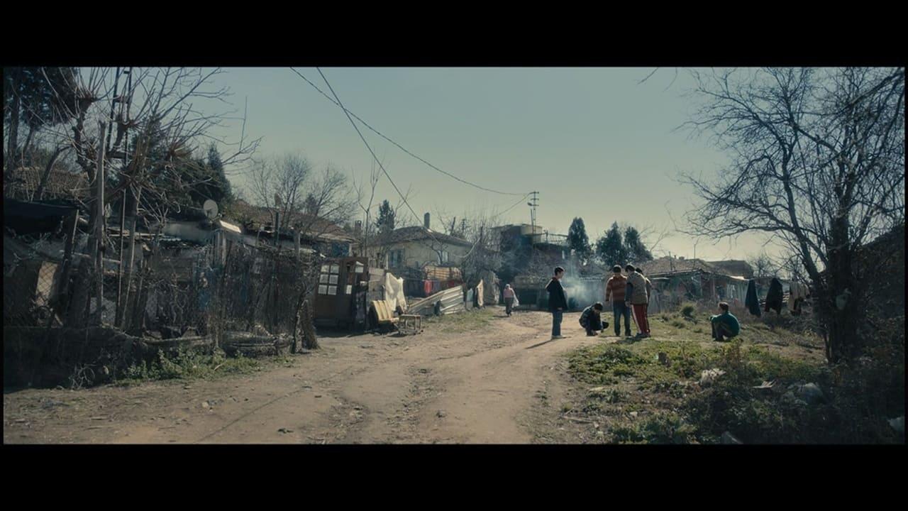 Mehmet Halil Çelik backdrop