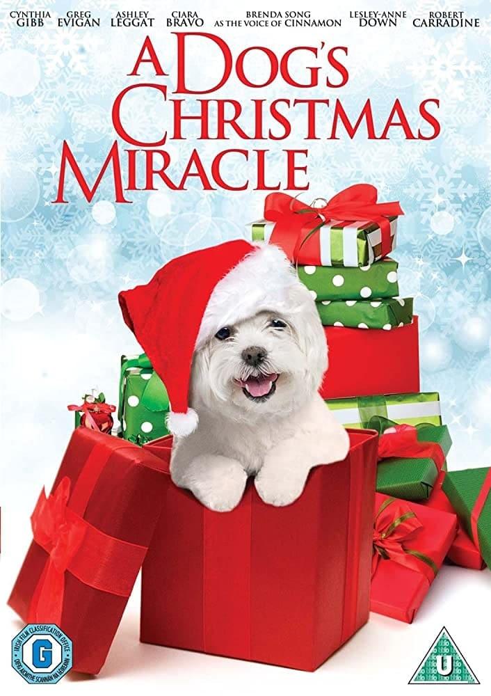 My Dog's Christmas Miracle poster
