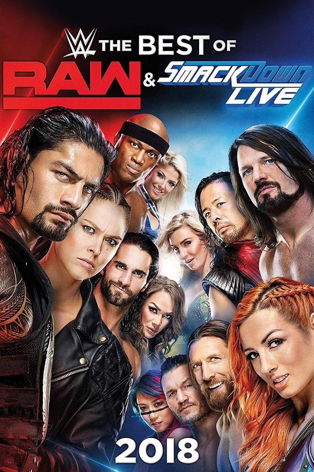 WWE The Best of Raw and Smackdown Live 2018 poster