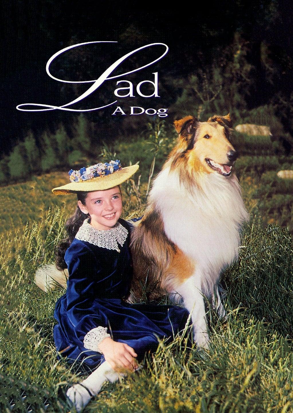 Lad: A Dog poster