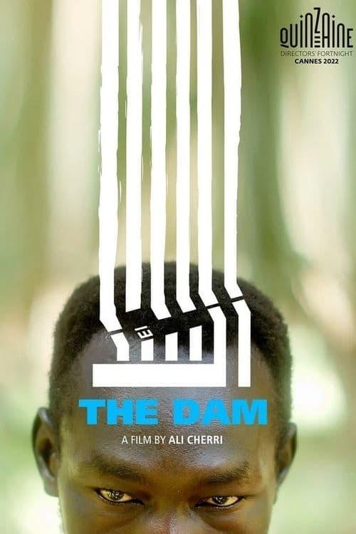 The Dam poster