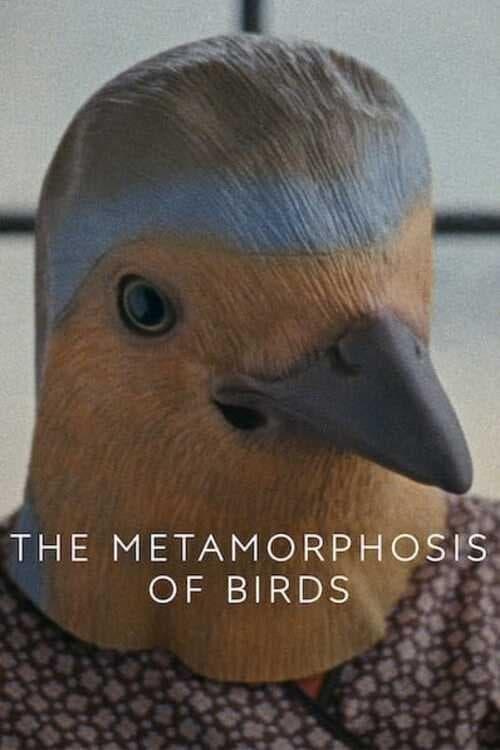 The Metamorphosis of Birds poster