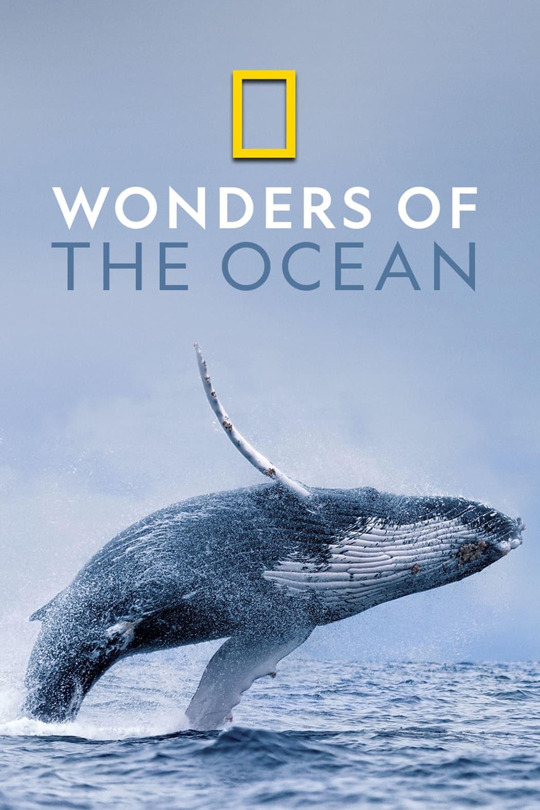 Wonders of the Ocean poster