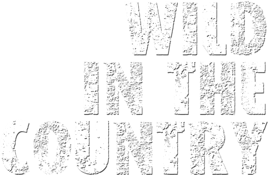 Wild in the Country logo