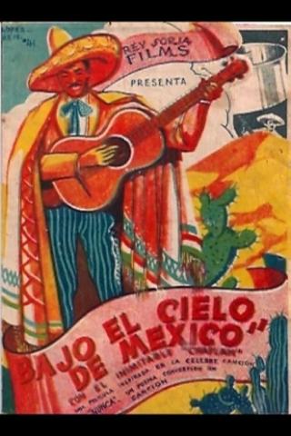 Bajo el cielo de México poster