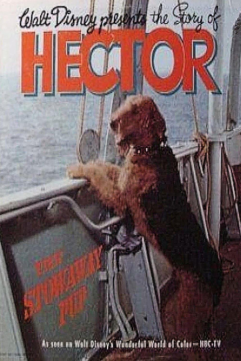 The Ballad of Hector the Stowaway Dog poster