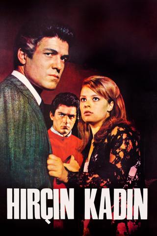 Hırçın Kadın poster