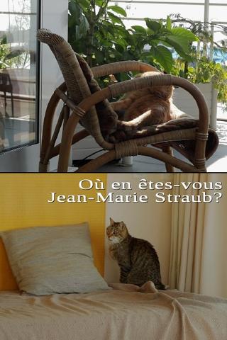 Où en êtes-vous, Jean-Marie Straub ? poster