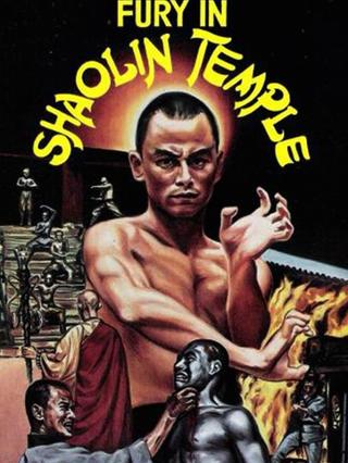 Fury in Shaolin Temple poster