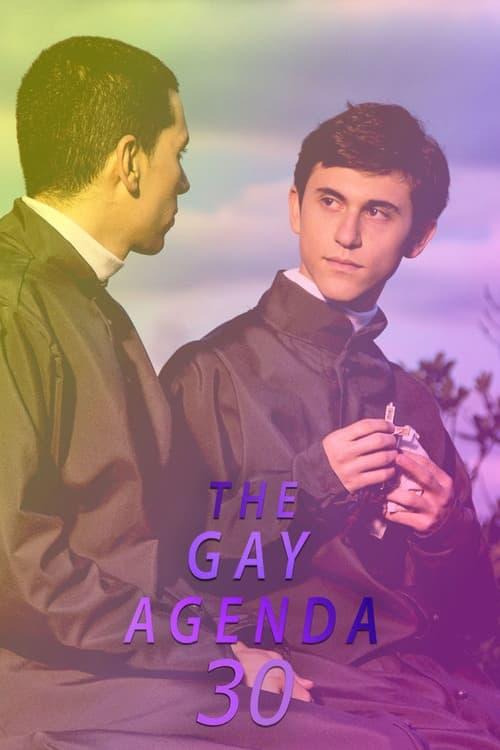 The Gay Agenda 30 poster