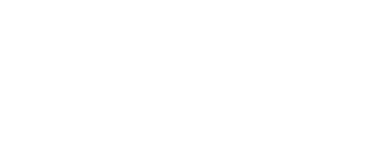 Vaashi logo