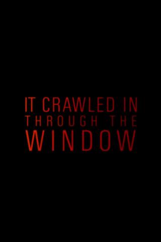 It Crawled In Through The Window poster