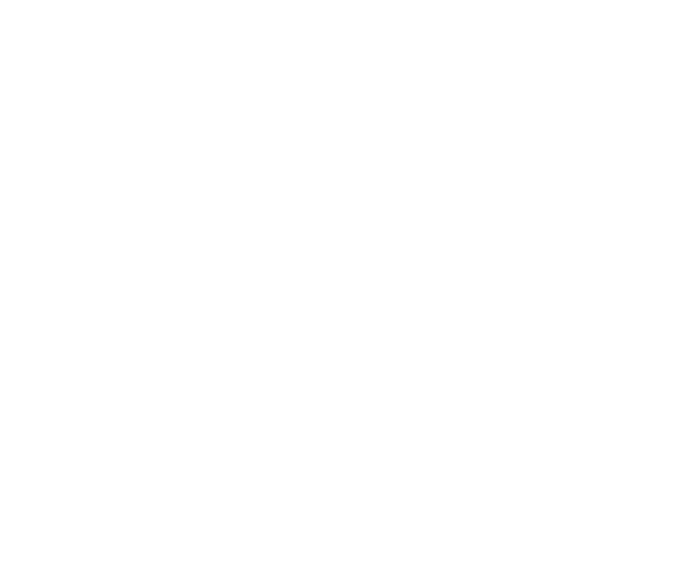 Turkish Tiger logo