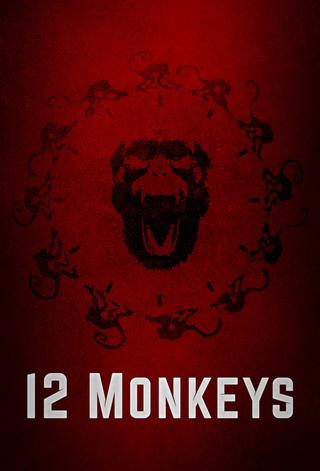 12 Monkeys poster