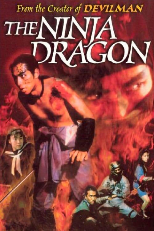 Legend of the Shadowy Ninja: The Ninja Dragon poster