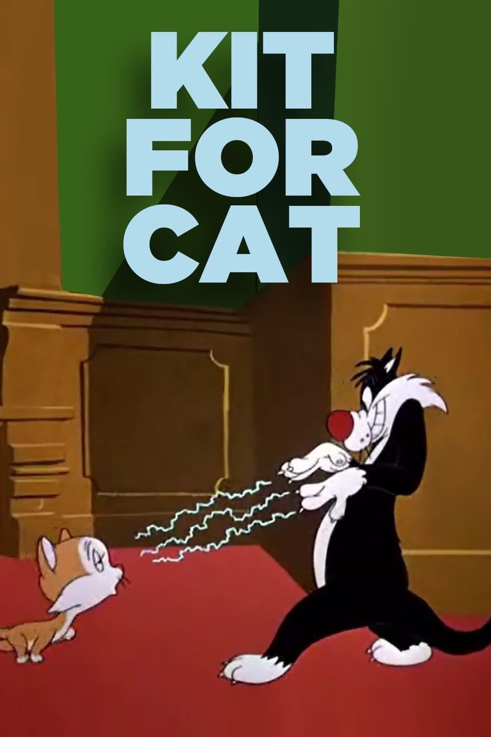 Kit for Cat poster