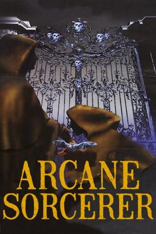 Arcane Sorcerer poster