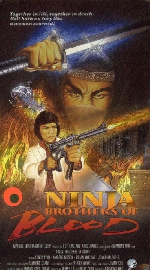 Ninja Knight: Brothers of Blood poster