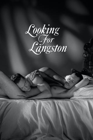 Looking for Langston poster