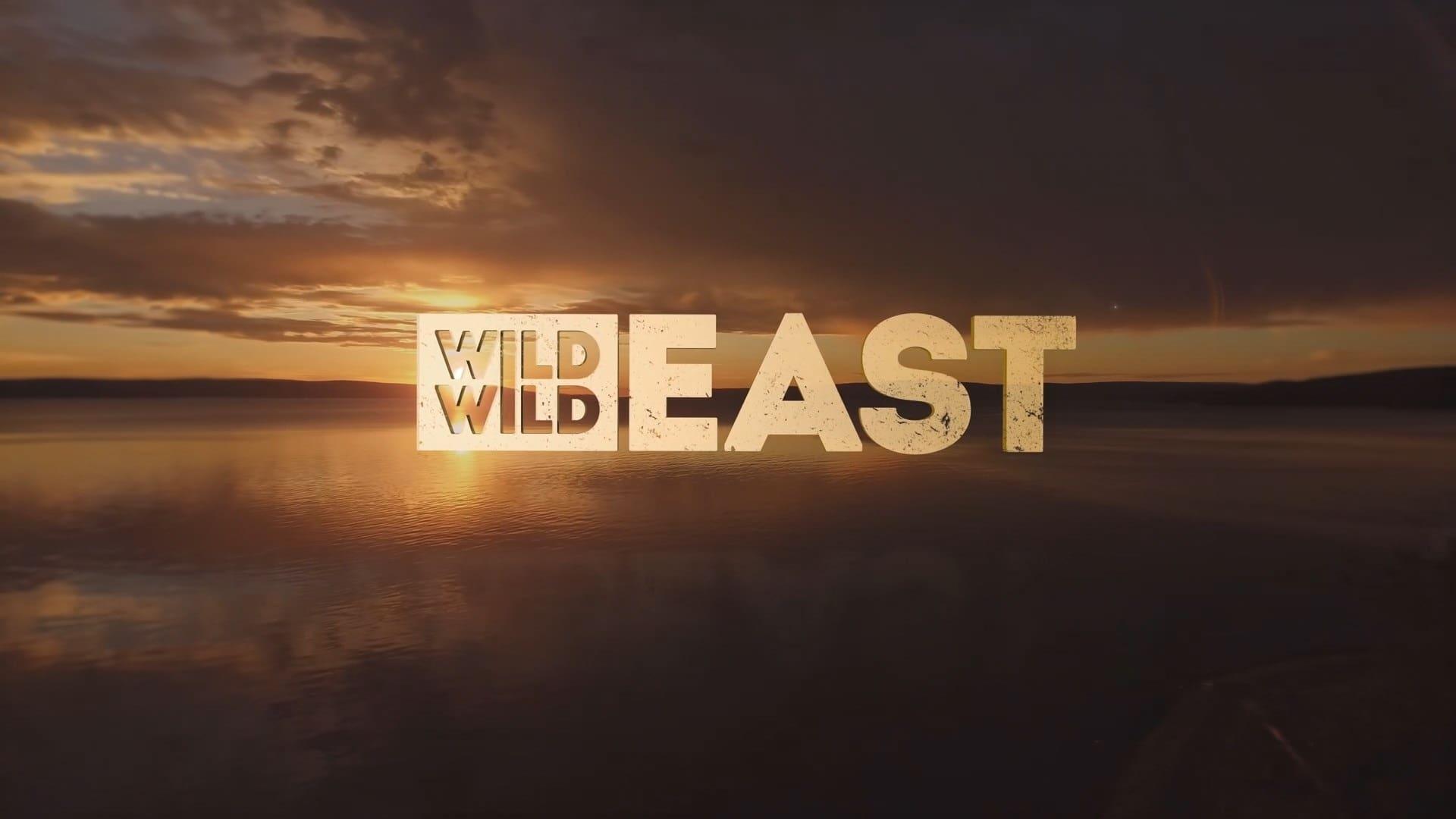 Wild Wild East backdrop