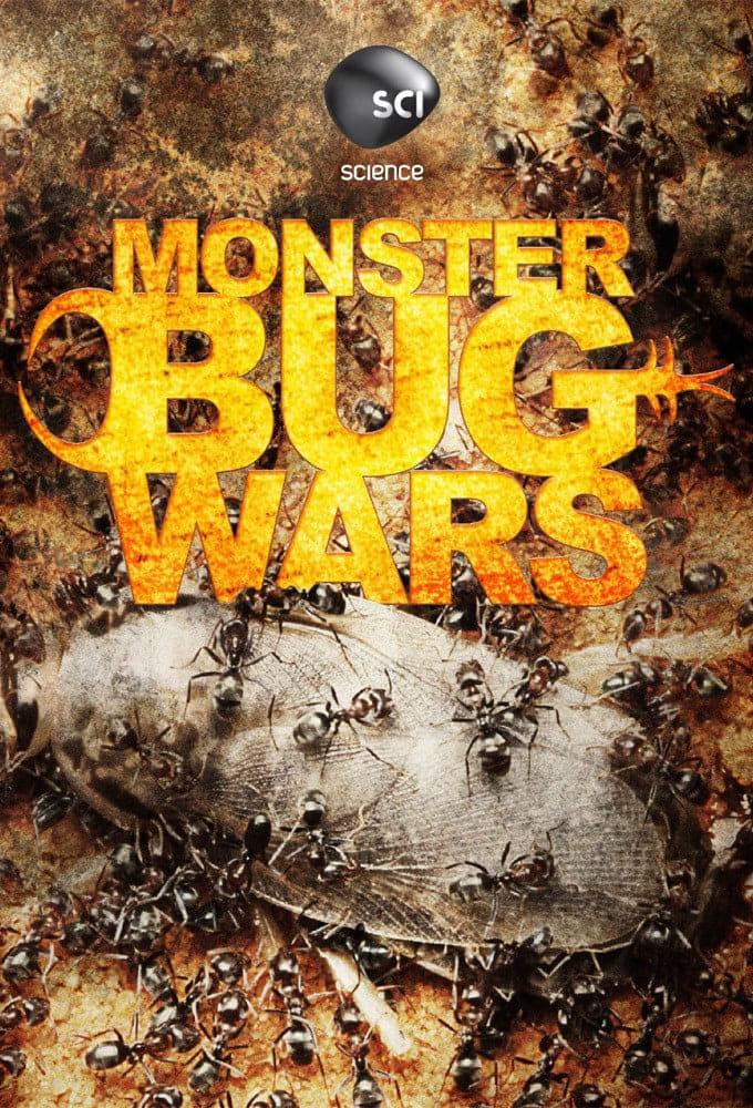 Monster Bug Wars poster