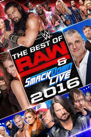 WWE Best of Raw & SmackDown Live 2016 poster