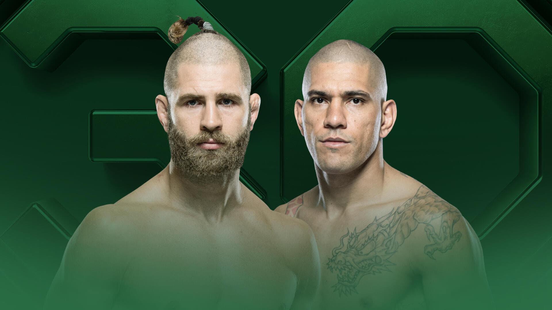 UFC 295: Prochazka vs. Pereira backdrop