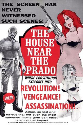 The House Near the Prado poster