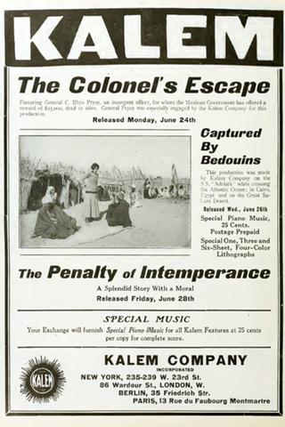 The Penalty of Intemperance poster