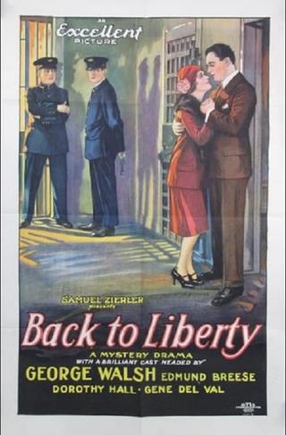 Back to Liberty poster