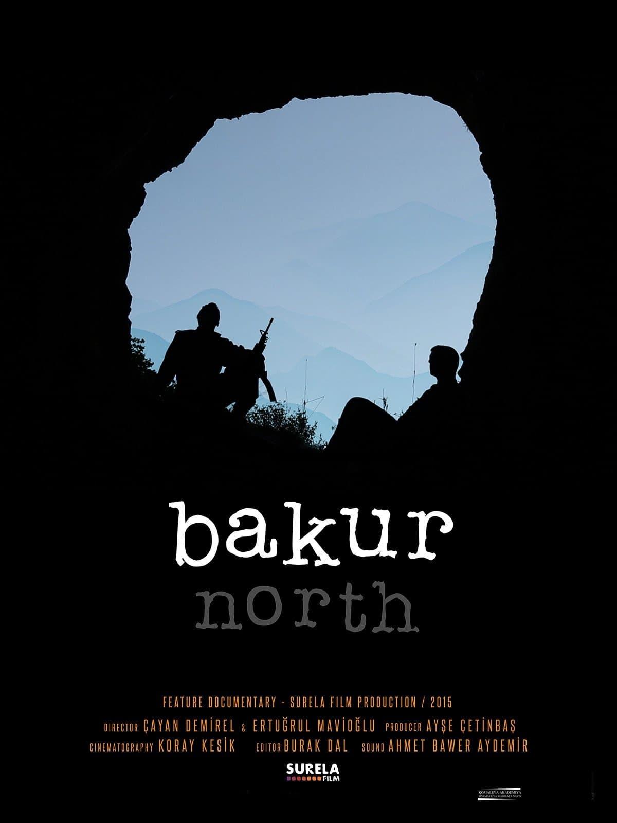 North poster