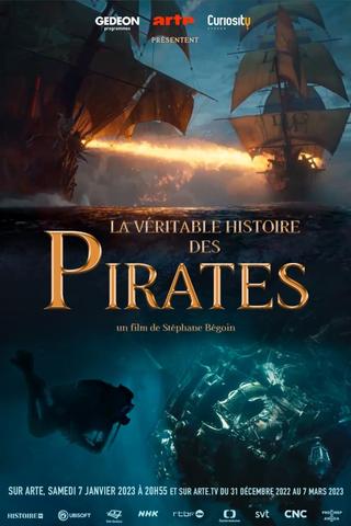 The True Story of Pirates poster