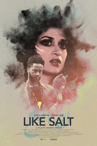 Like Salt poster