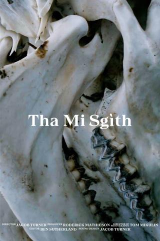 Tha Mi Sgìth poster