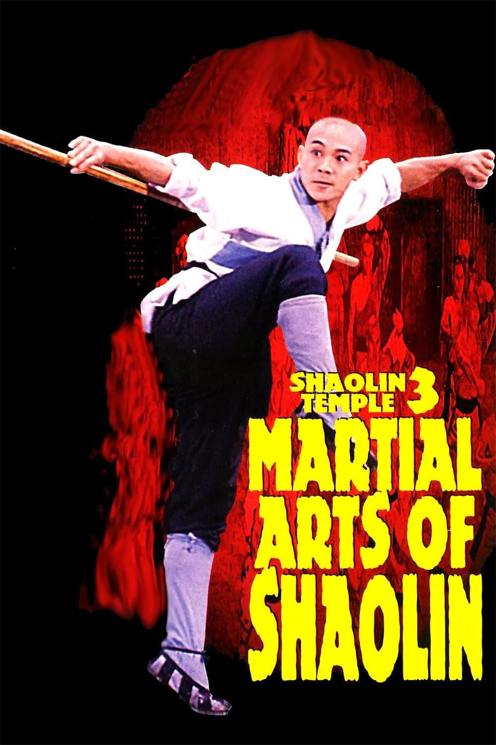 Martial Arts of Shaolin poster