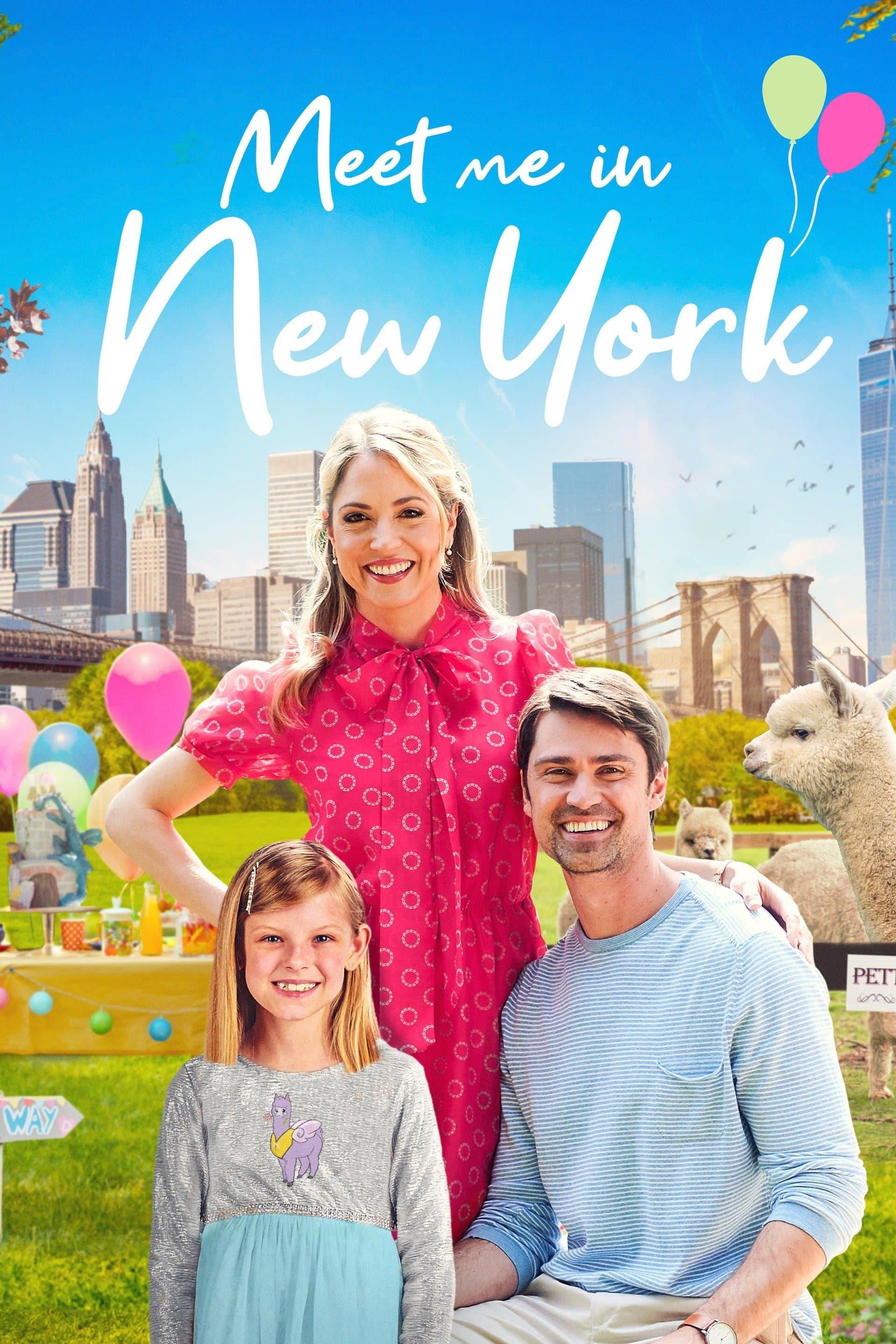 Meet Me in New York poster