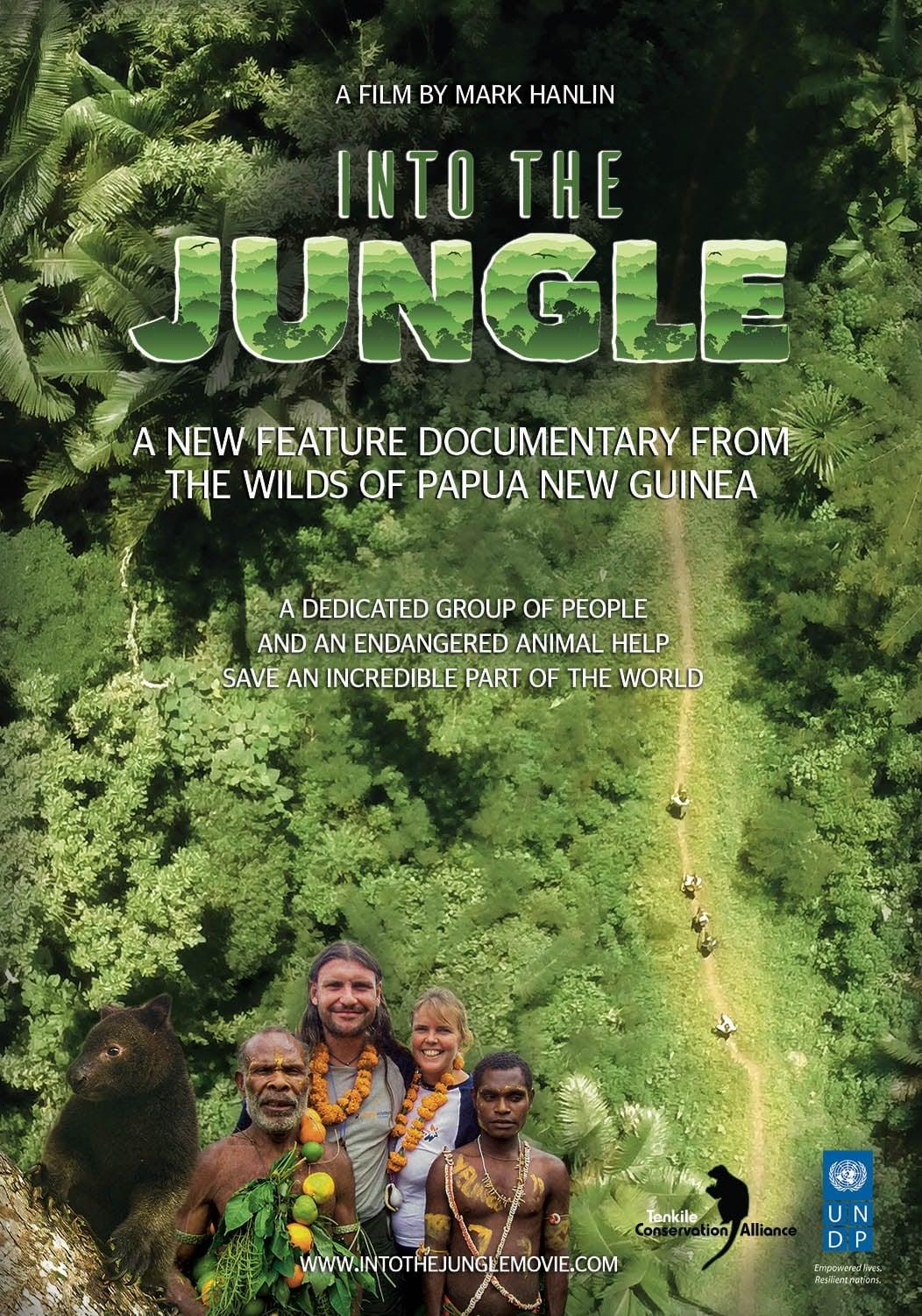 Into the Jungle poster