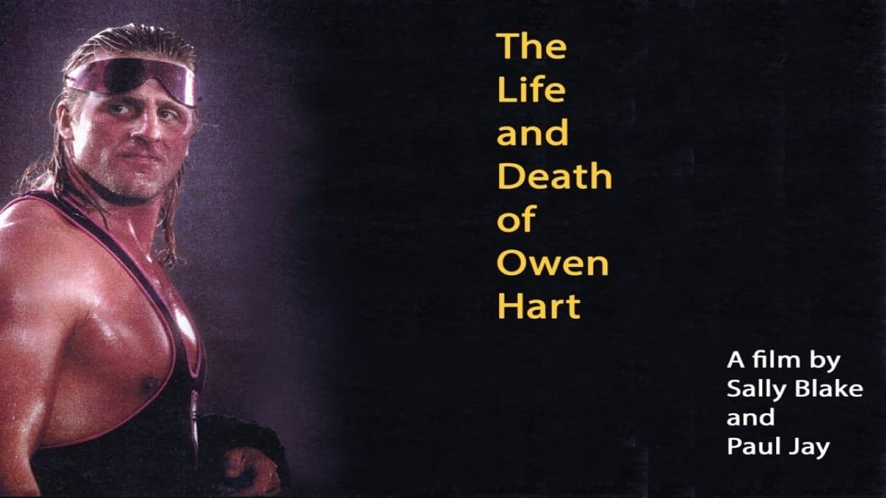 The Life and Death of Owen Hart backdrop