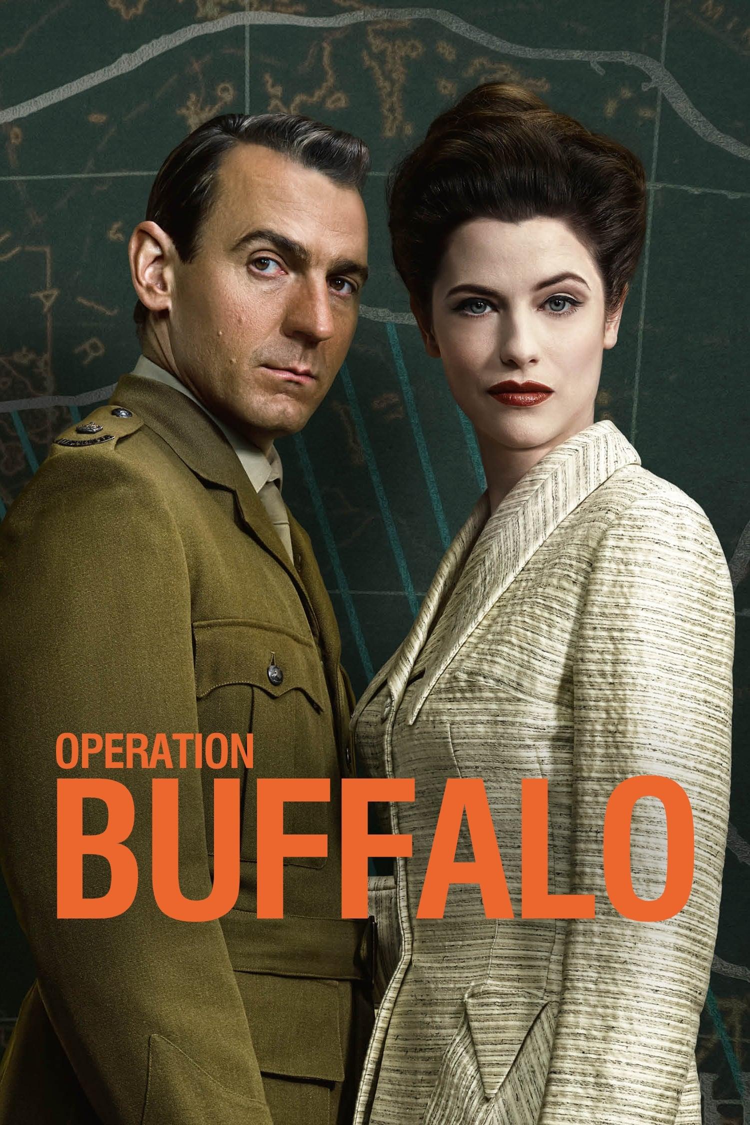 Operation Buffalo poster