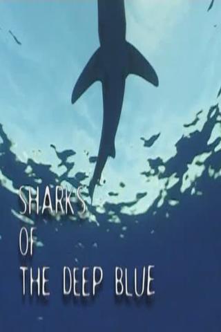 Sharks of the Deep Blue poster