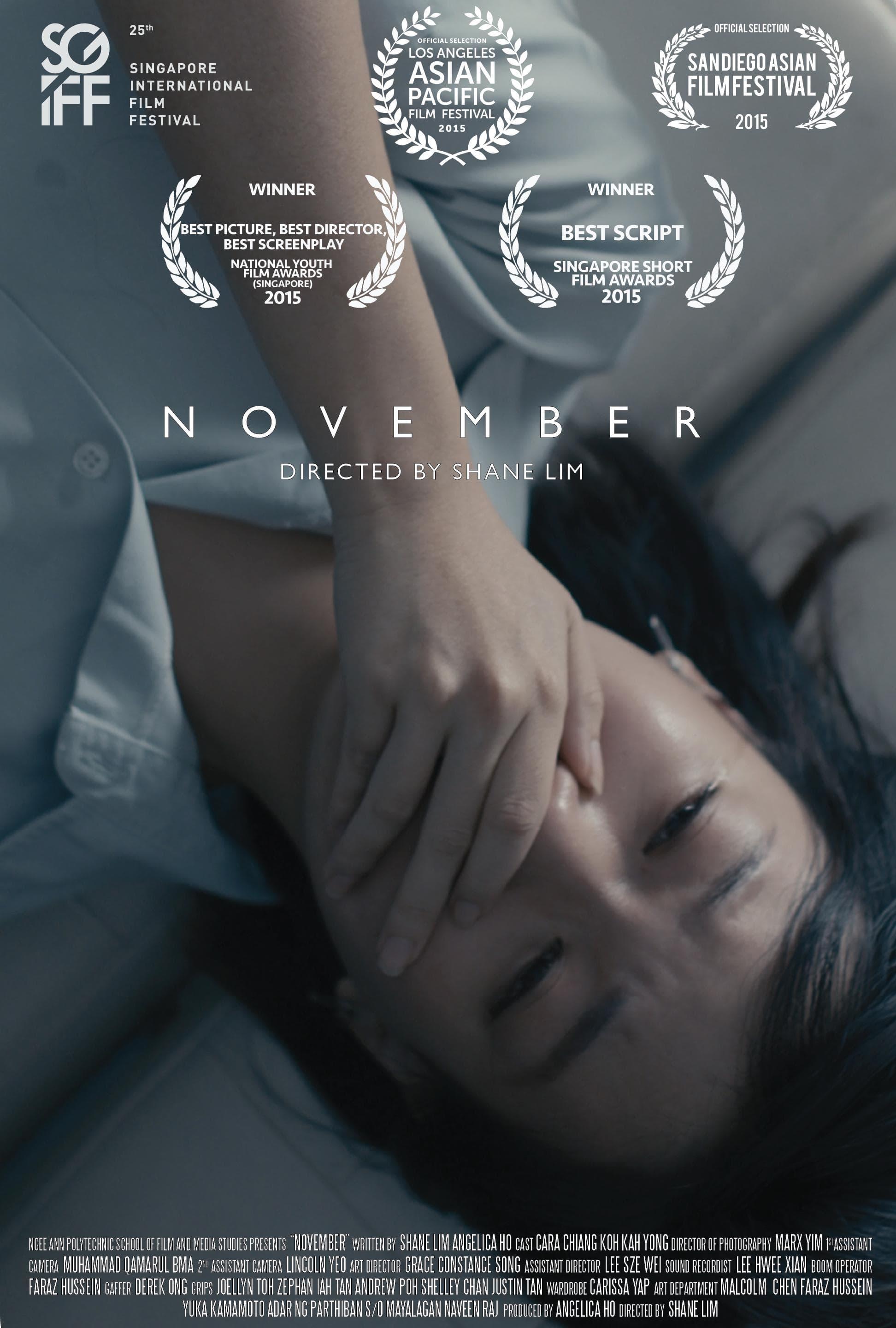 NOVEMBER poster