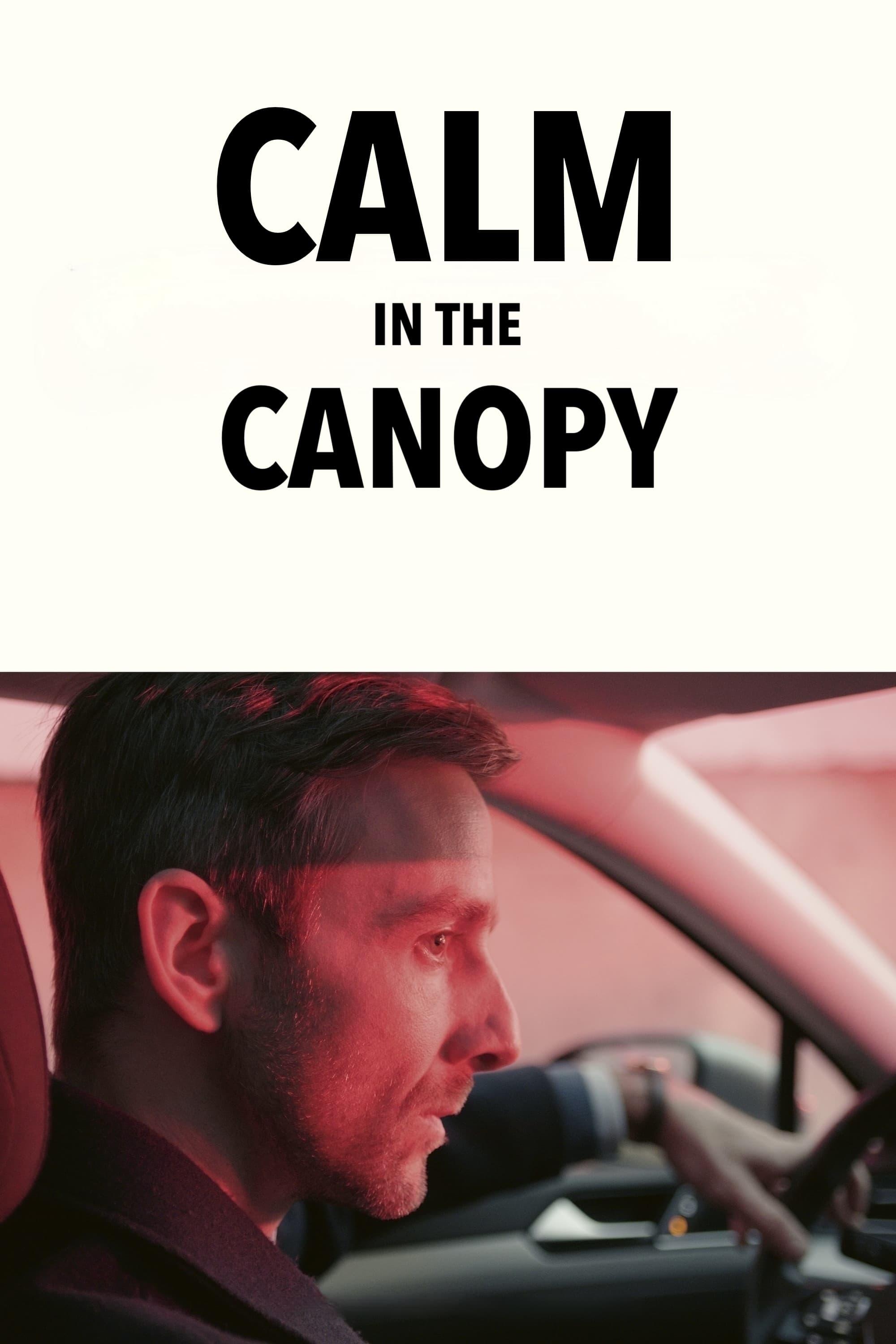 Calm in the Canopy poster