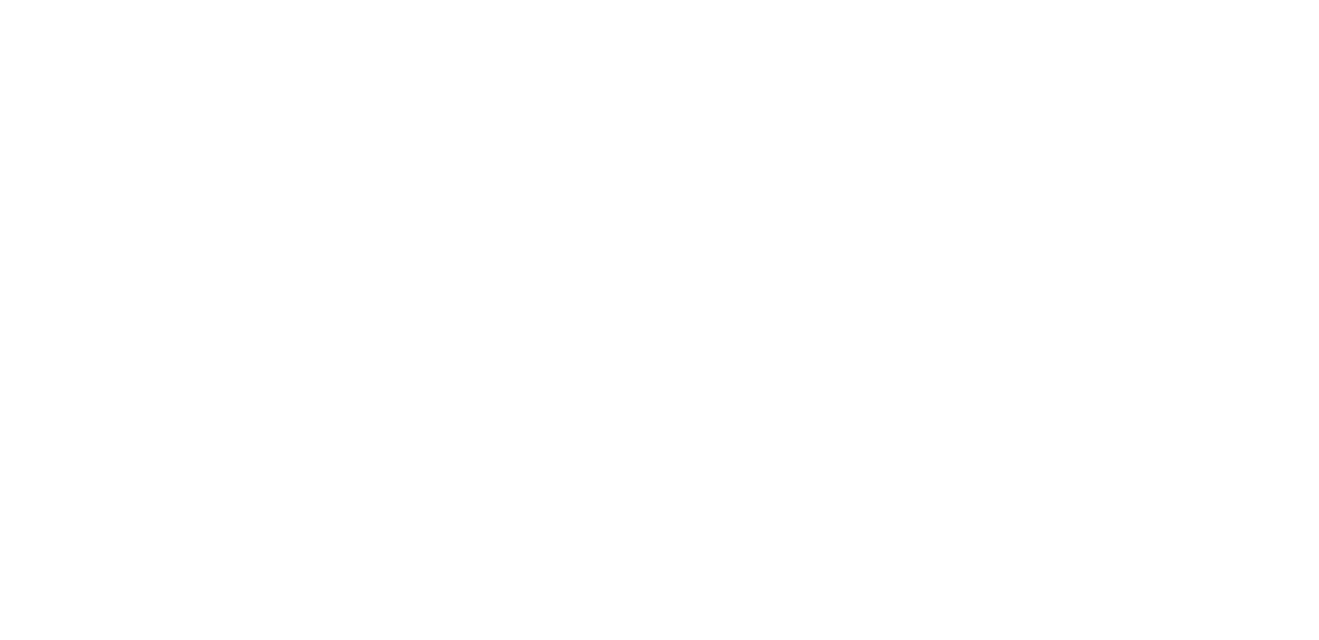The Invisible Witness logo